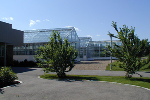 Picture of Agriculture Greenhouses